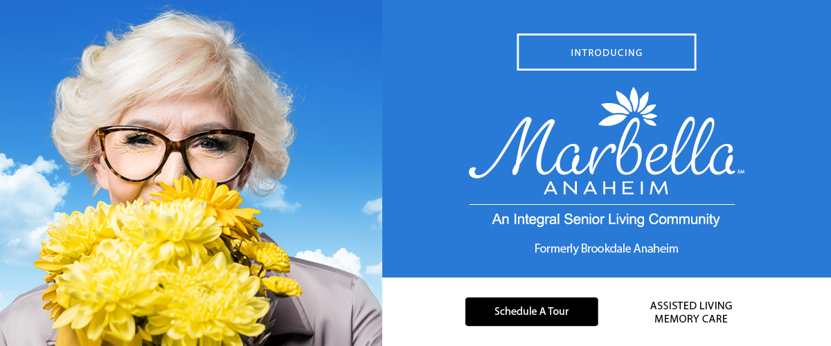 MBAN-0018-Slider_New Name_Dec 2025_1200 x 500 (1)